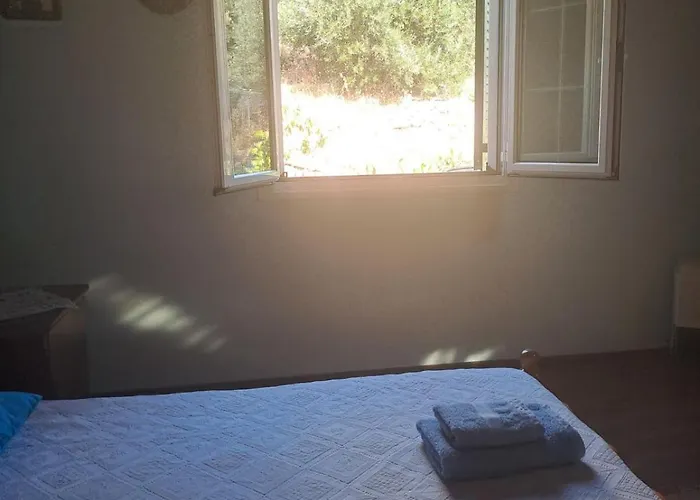 Ostriche House Pendátio
